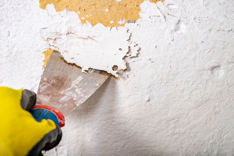 Residential Paint Stripping Services